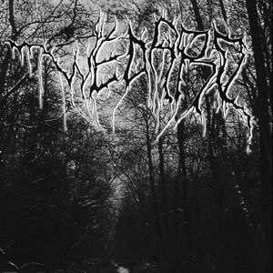 Auferstanden aus Ruinen