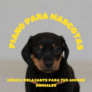 Elegía Emprendedora