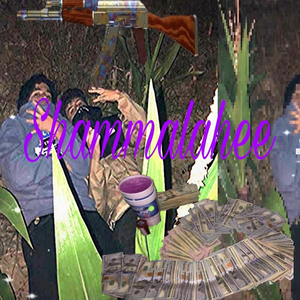 pizza provolone mozzarella