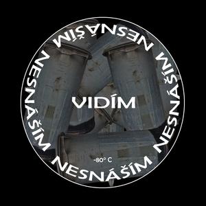 VIDÍM / NESNÁŠÍM