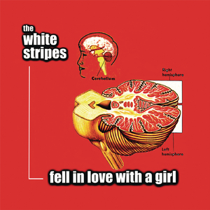 Fell In Love With a Girl