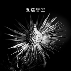 五蕴皆空 (书法)