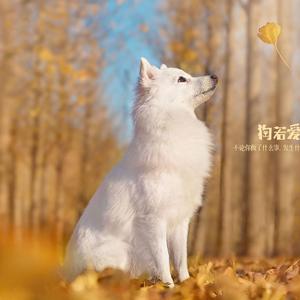 一百七十二笔 (2)