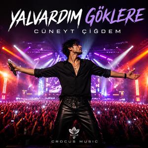 Yalvardım Göklere