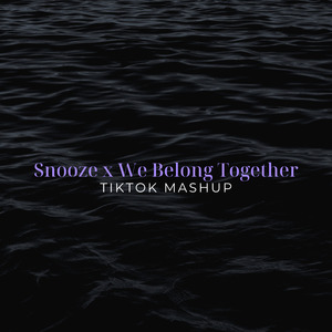 Snooze x We Belong Together (TikTok Mashup) (Remix)