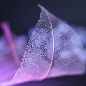 奔向明天伴奏.wav