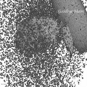 Goodbye Moon