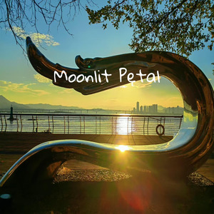 穿高跟鞋的女人