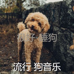 狗午睡-音乐