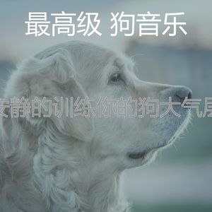 温和训练你的狗梦想