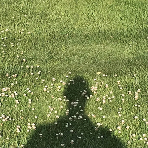 Nootropic(Vocal Version)