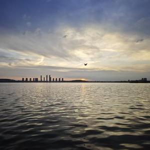 真金英雄（prod by firex）