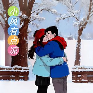 小风有点凉（DJ版）