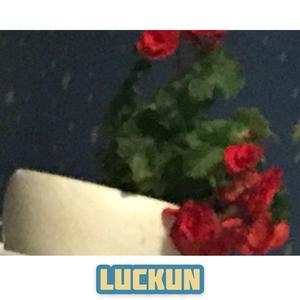 请你听听我的心