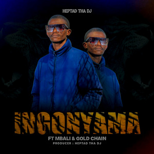 INGONYAMA (Radio Edit)