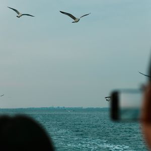 眼红