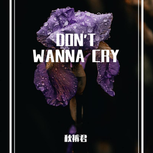 DON'T WANNA CRY_缩混