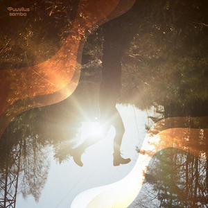 Puuvilus Samba