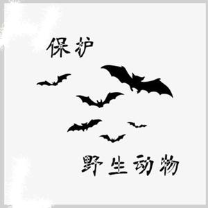 保护野生动物