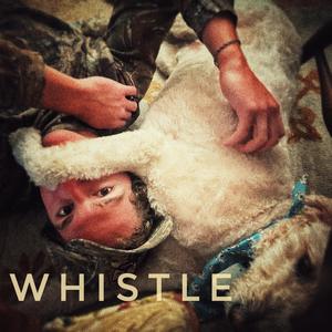 whistle