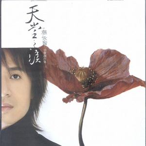 大声地说我爱你