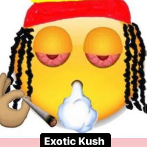 Exotic Kush ( Intro )