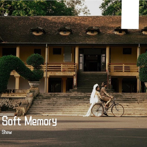 Soft Memory