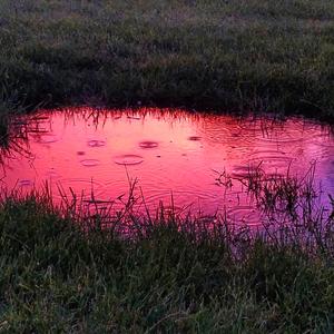 Shimmer (Guitarless)