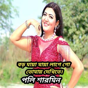 বড় মায়া মায়া লাগে গো