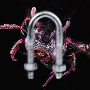 Funk (feat. Ilusmot)