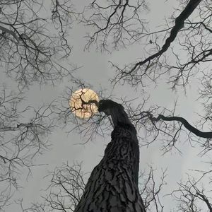 白衬衫