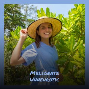 Meliorate Unneurotic