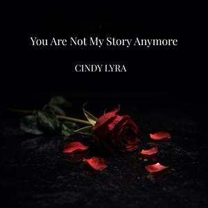 You Are Not My Story Anymore