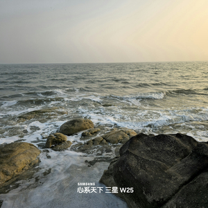 在你最爱我的时候，我却选择放开了手