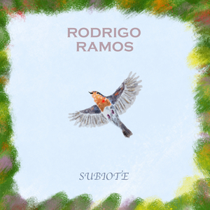 Subiote