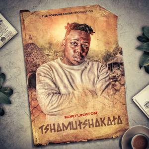 Tshamutshakata (feat. Dalom kids, Starr Healer & Dj Gun-Do)