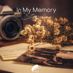 In My Memory (Original Mix)