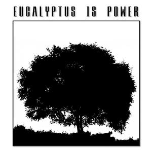 אקליפטוס זה כוח (feat. MC Erlich)