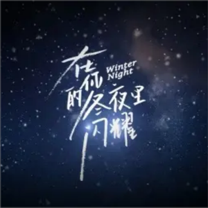 在你的冬夜里闪耀