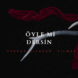 Öyle mi̇ dersi̇n