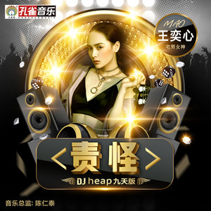 责怪 (DJheap九天版伴奏)
