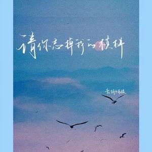 请你忘掉我的模样