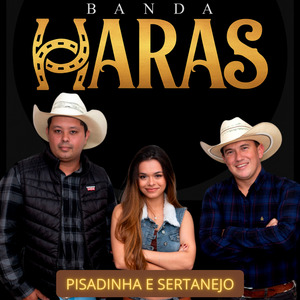 Pisadinha e Sertanejo
