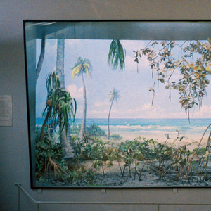 Yalta (feat. Amphibian Man II)