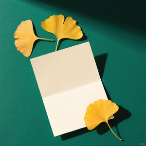 银杏落进信笺时