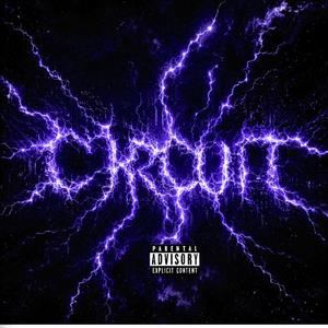 Circuit