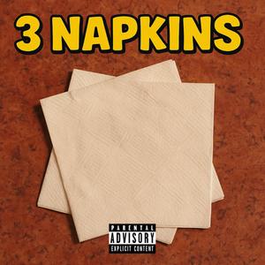 3 NAPKINS