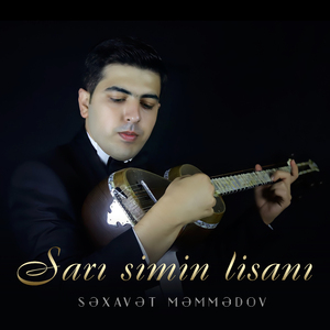 Arı Uçuşu