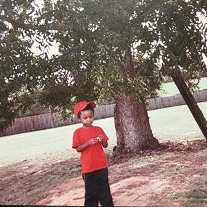 Bankroll Symphony