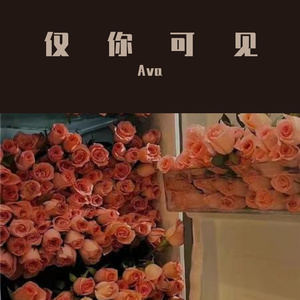 仅你可见